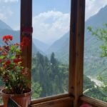 10 Reasons Why Guests Love Staying with Homyn